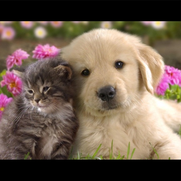 HAPPY VALENTINES DAY❤️ - Picture 4 of 6